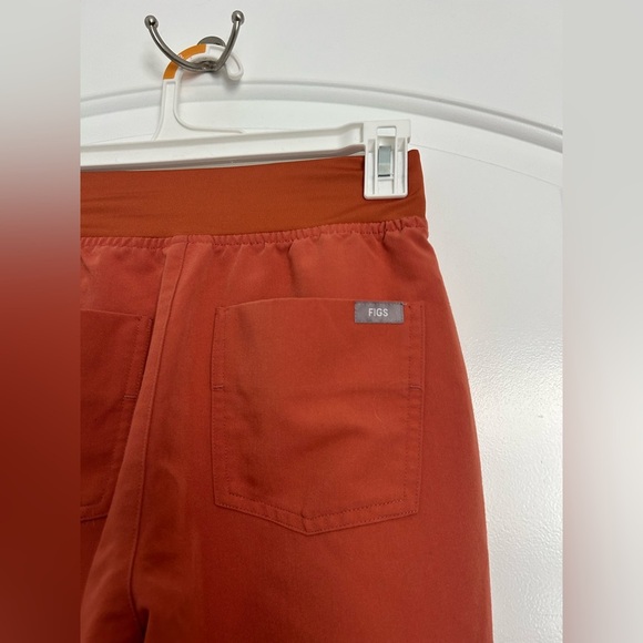 FIGS Zamora Jogger Scrub Workwear Nurse Pants in color Terracotta size XXS P - Picture 7 of 12